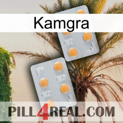 Kamgra 25